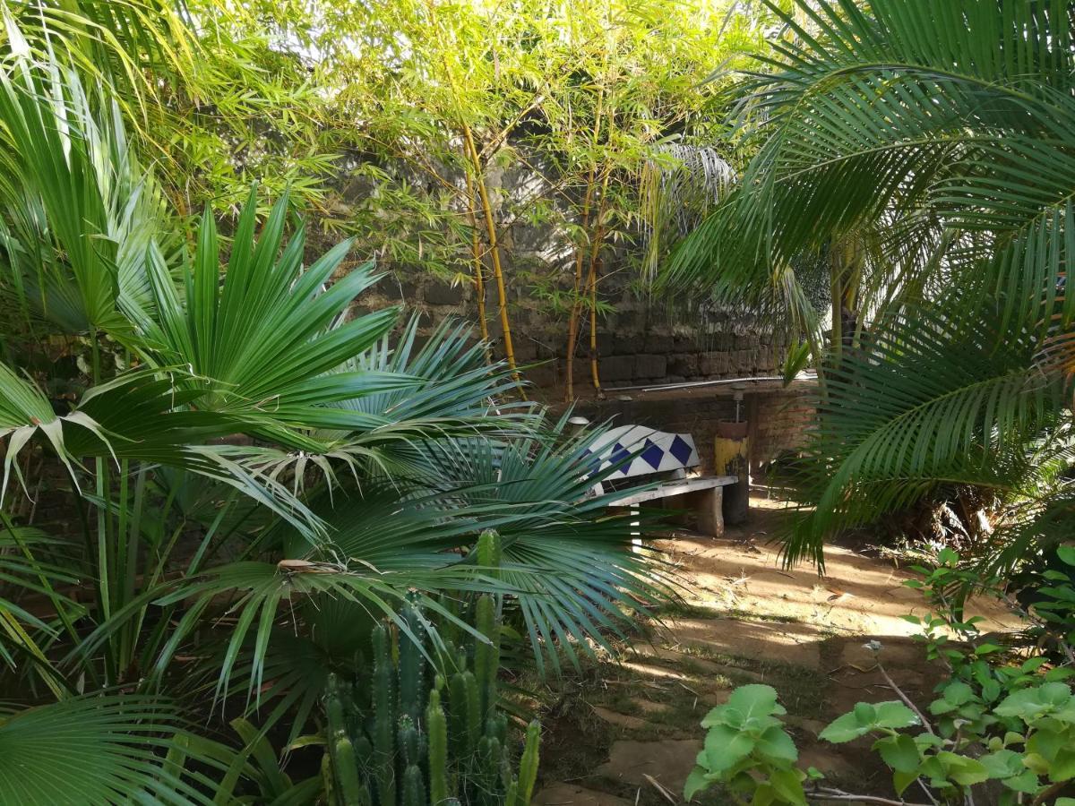 Отель Harvest House Nicaragua Леон Экстерьер фото
