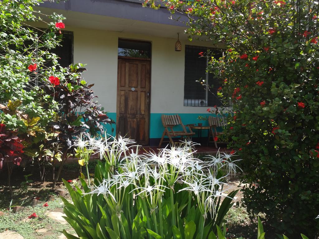 Отель Harvest House Nicaragua Леон Экстерьер фото