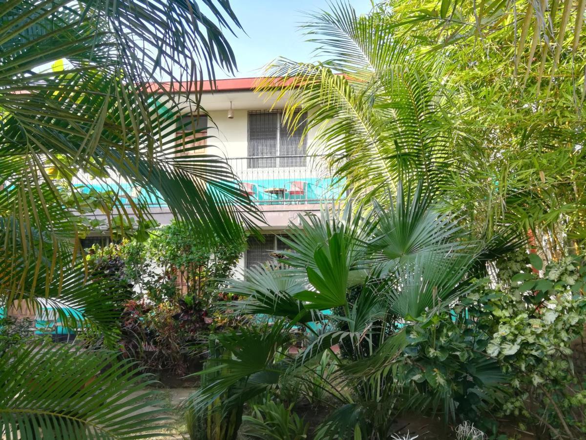 Отель Harvest House Nicaragua Леон Экстерьер фото